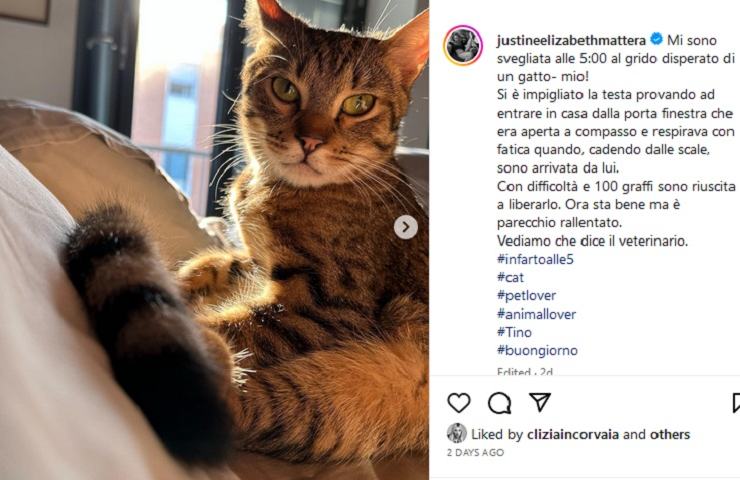 Justine Mattera, il racconto su Instagram