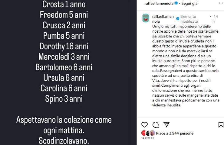 Raffaella Mennoia, il post pieno di dolore (Fonte Instagram)