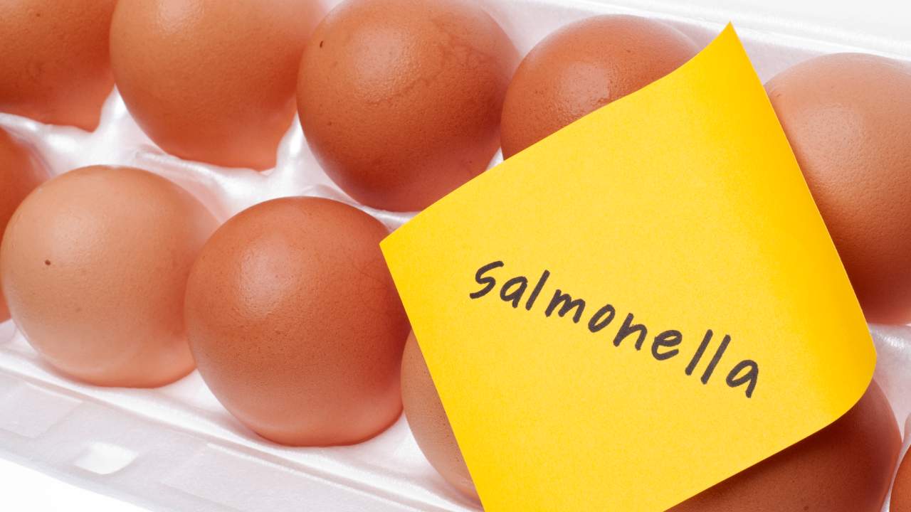 Allarme salmonella: ritirate decine di confezioni dagli scaffali. - Metropolinotizie.it